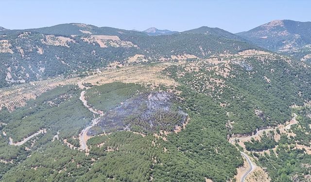 Aydın Kuyucak'ta çıkan orman yangını kontrol altına alındı