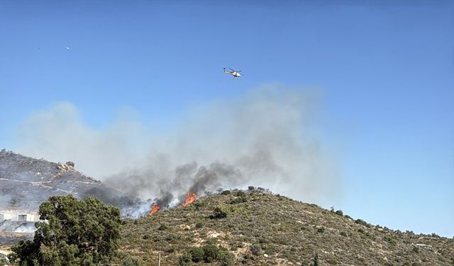 Bodrum'da makilik alanda çıkan yangına müdahale ediliyor