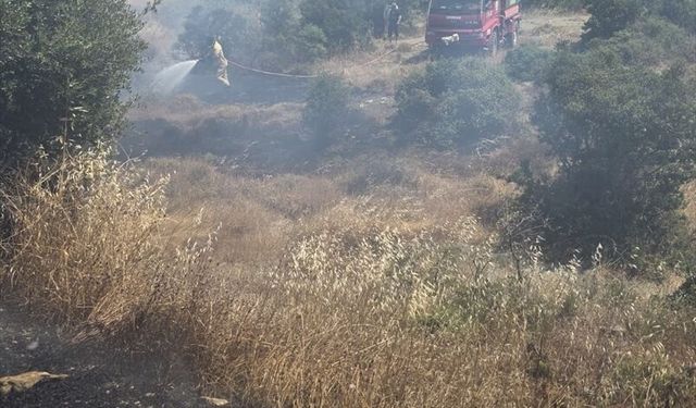 Çanakkale'de tarım arazisinde çıkan yangın söndürüldü
