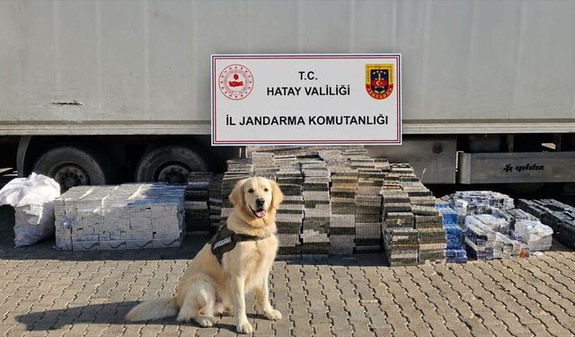 Hatay'da tırda 30 bin paket kaçak sigara ele geçirildi