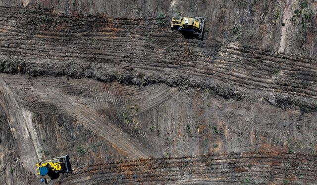 İzmir ve Manisa'da orman yangınları geçen yıla göre azaldı