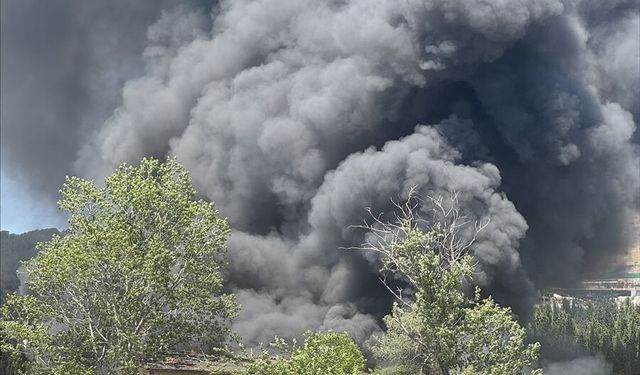 Kocaeli'de boya fabrikasında çıkan yangında 1 kişi öldü, 2 kişi dumandan etkilendi