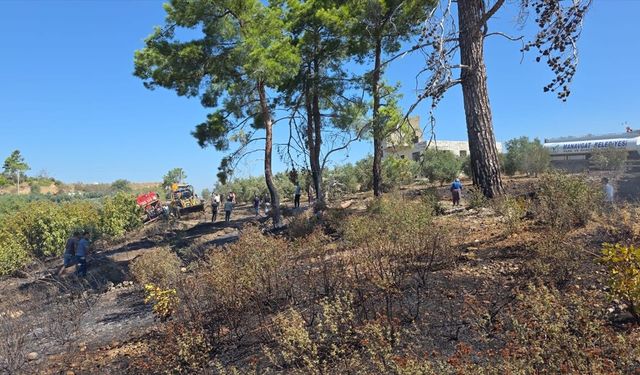 Manavgat'ta çıkan yangında 1 hektar ormanlık alan ile 2 hektar zeytinlik zarar gördü