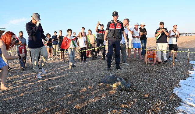 Manavgat'ta tedavisi tamamlanan yeşil deniz kaplumbağası denize bırakıldı