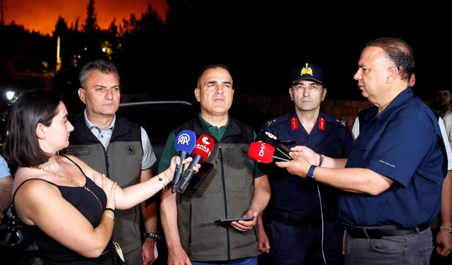 Milas'ta çıkan orman yangını 'büyük ölçüde' kontrol altına alındı