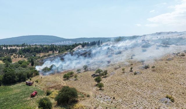 Muğla'da orman ve tarım alanında çıkan yangına müdahale ediliyor