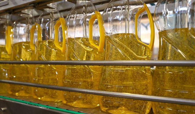 Türkiye'nin ayçiçeği yağı ihracatı yılın ilk yarısında yüzde 20,1 arttı