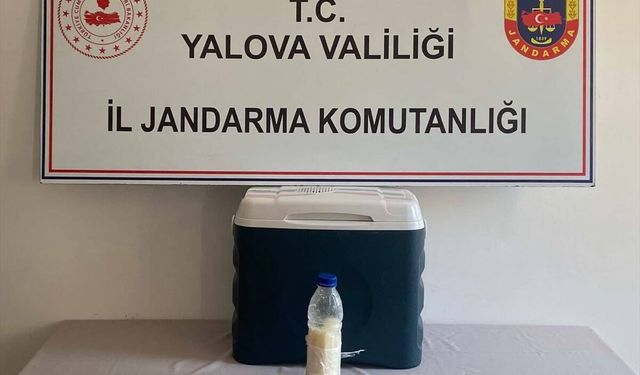 Yalova'da 500 gram akrep zehri ele geçirildi