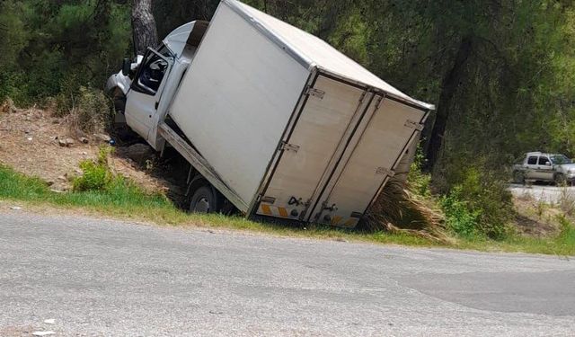 Alanya'da kamyonet ağaca çarptı: 1 ölü, 1 ağır yaralı