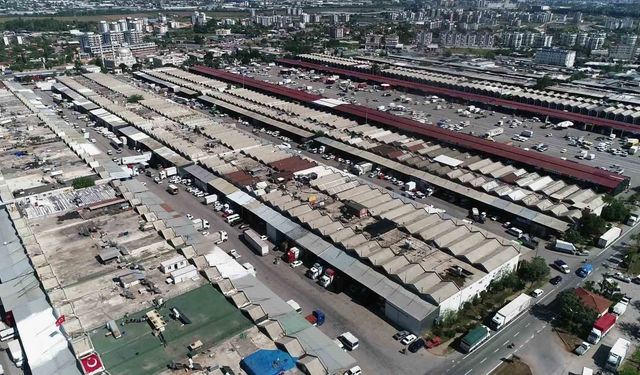 Antalya'da haziranda domates ve meyvede işlem miktarı arttı