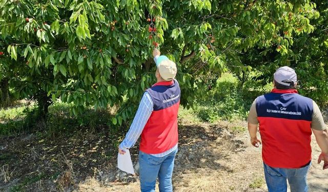 Dolu yağışından dolayı hasar tespit çalışmaları sürüyor