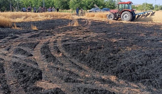 Elazığ'daki ekili tarlada çıkan yangın ekiplerce söndürüldü