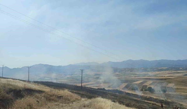 Elazığ'daki yangında 40 dönümlük arpa küle döndü