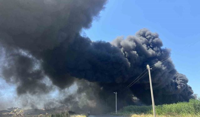 İzmir'de geri dönüşüm fabrikasında korkutan yangın