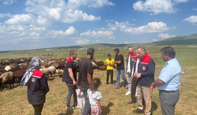 Kars'ta yaylalarda hayvancılığa yakın takip