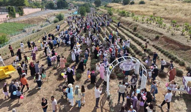 Lavanta kokuları eşliğinde hasat yaptılar