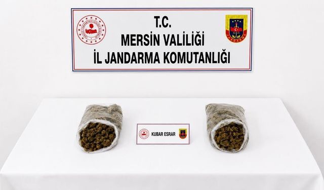 Mersin'de jandarmadan uyuşturucu operasyonu: 2 tutuklama