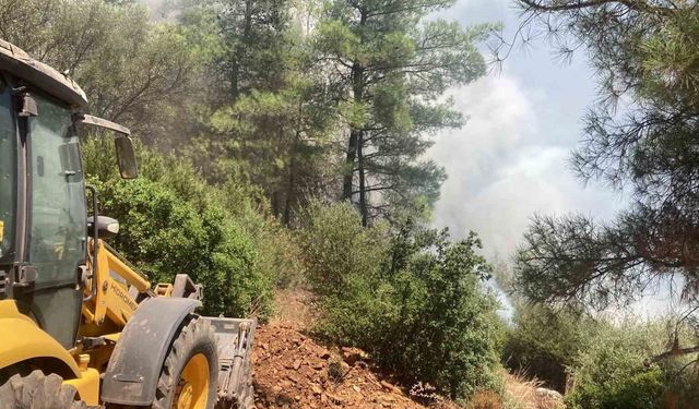 Rüzgarın büyüttüğü yangın 1 saatte söndürüldü