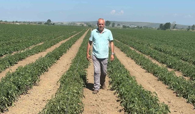 Sözleşme yaptığı firma ürünü almayınca 20 milyon lira zarar etti