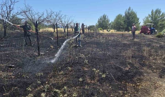 Tarladaki 'balyoz' çalışması ormanı yakmış: Arazi sahibi tutuklandı