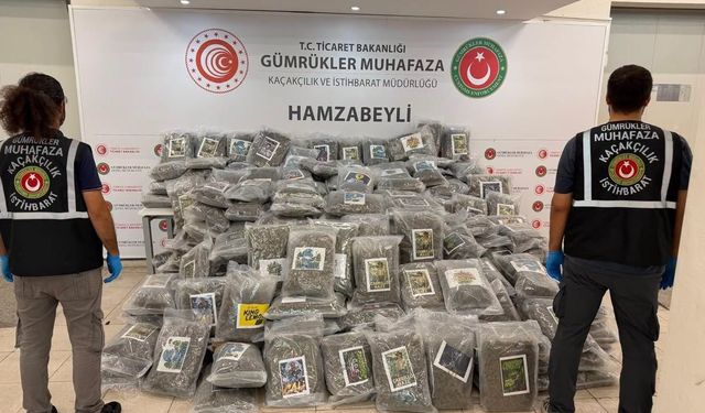 Edirne Hamzabeyli Sınır Kapısı'nda bir tırda yaklaşık 288 kilogram esrar ele geçirildi