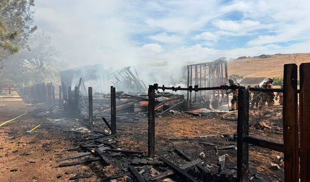 ABD'nin Nevada eyaletindeki orman yangınında 32 ev kül oldu