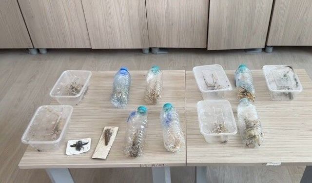 Bakan Yumaklı: İzinsiz tür toplayıcılığı yapan 2 yabancı uyruklu şahsa 1,4 milyon lira idari para cezası uyguladık