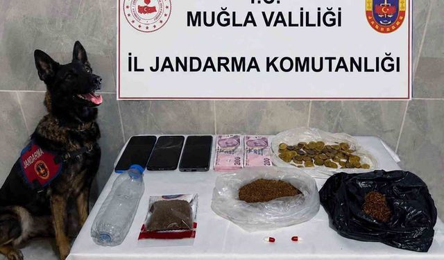 Jandarma KOM ekiplerinden Temmuz'da 24 operasyon