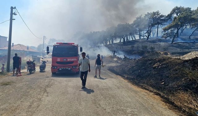 Kazdağları eteklerinde yangına 9 uçak 6 helikopter ile müdahale ediliyor