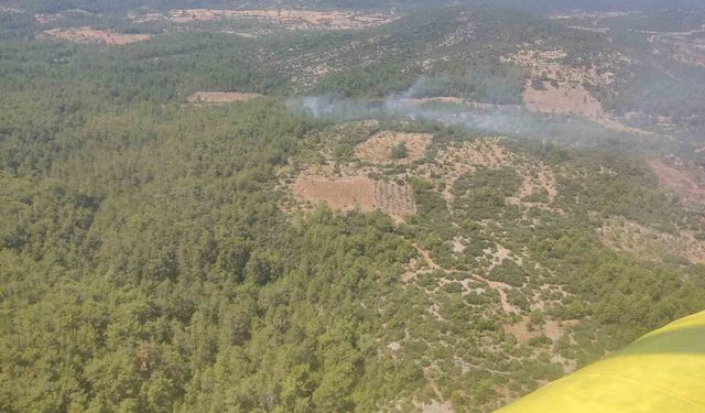 Muğla'da orman yangını kontrol altına alındı