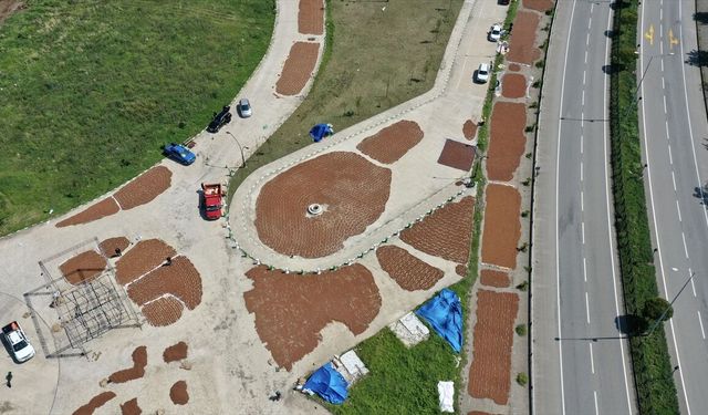Giresun'da fındık kurutan üreticiler gece de nöbet tutuyor
