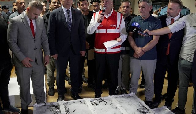 İstanbul'da Gürpınar Su Ürünleri Hali'nde av sezonunun açılışı yapıldı