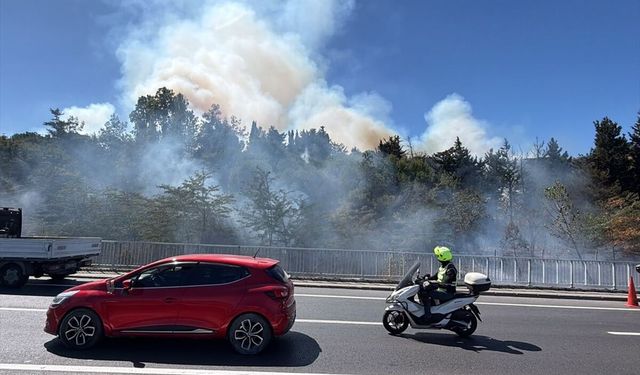 İstanbul'da otluk alanda çıkan yangın söndürüldü