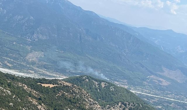 Muğla'da çıkan orman yangını söndürüldü