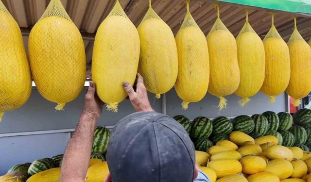 Bekledikçe güzelleşiyor, asıldıkça lezzetleniyor: Çorlu Seymen Kavunu