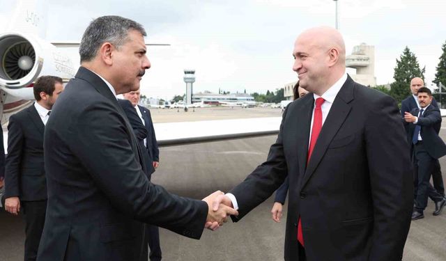 İçişleri Bakanı Çiftçi, Gürcistan'da