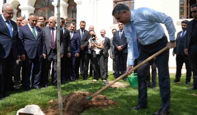 İçişleri Bakanı Mustafa Çiftçi, adını taşıyan çınar fidanını dikerek can suyu verdi