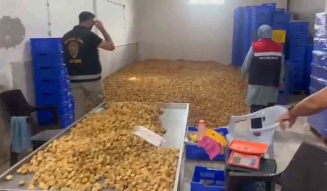 Köşk'te 20 milyon TL değerinde 25 ton etiketsiz kuru incir ele geçirildi
