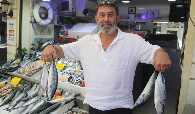 Palamut bolluğu tezgahlara yansıdı: 600 gram balık 100 lira