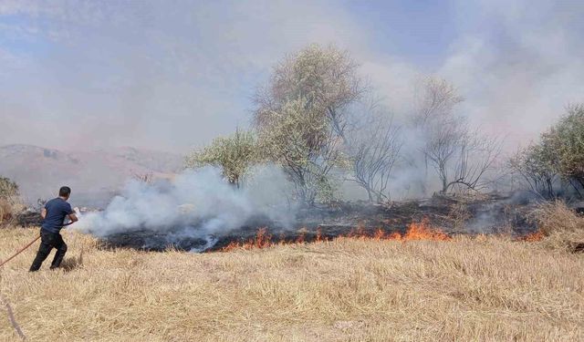 Saraykent'te 150 dönüm arazi yandı
