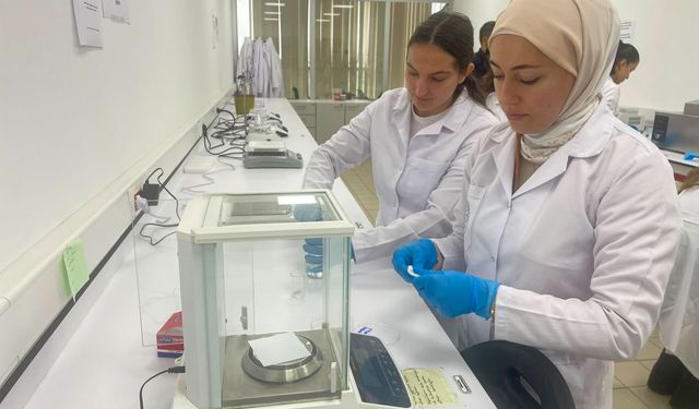 3 boyutlu biyoyazıcıyla 'melanom' tedavisine yönelik 'mikroiğne yaması' geliştirildi