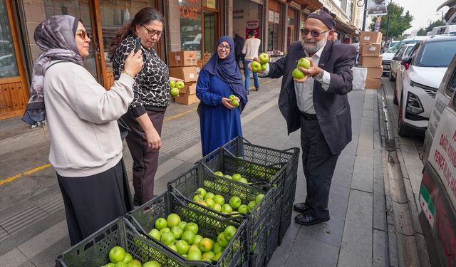 'Elmacı Dede' Diyarbakır'daki askerlere ve vatandaşlara elma getirdi