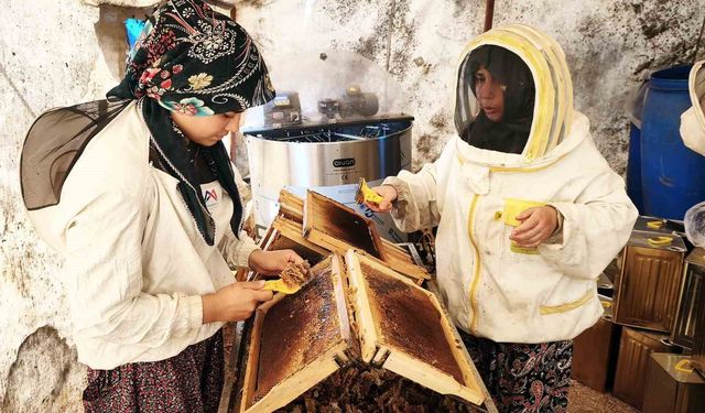 Çam balının başkenti Muğla'da glikozlu bal tepkisi