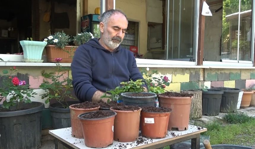 Dem atıkları çiçeklere can verdi