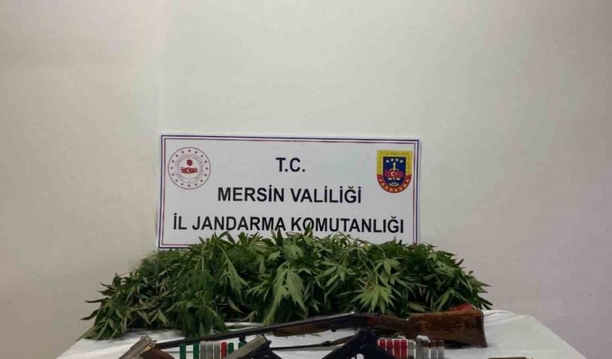 Ormanda ve bahçede uyuşturucu yetiştiren şüpheliler yakalandı