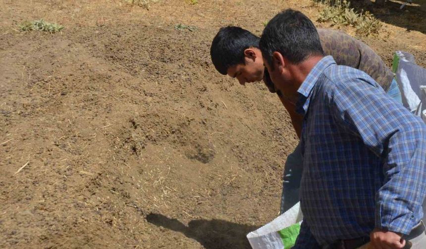 Hayvan yetiştiricilerinin yeni gelir kapısı gübre satışı