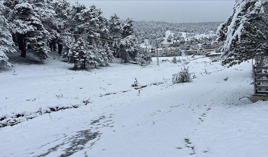 Bitlis ve Sivas'ta kar yağışı etkili oldu