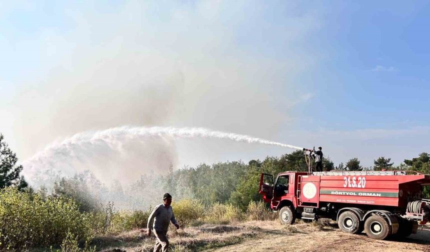 Hatay’da orman yangını rüzgarın etkisiyle büyümeye devam ediyor