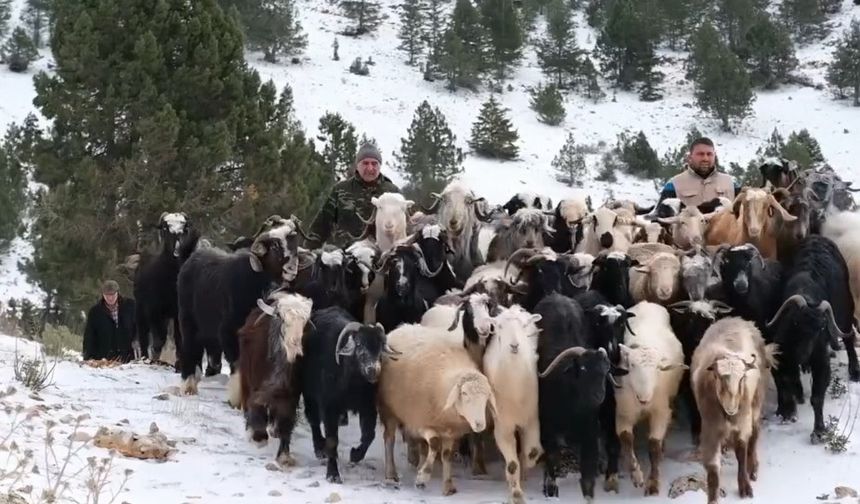 Konya’da yaylada yoğun kardan mahsur kalan besiciler yol açılarak kurtarıldı