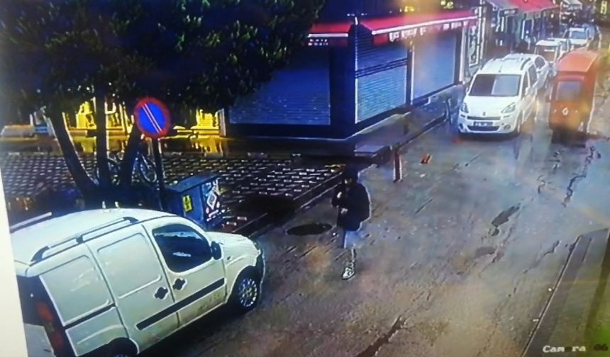 Devrilen çam ağacının altında kalmaktan kıl payı kurtuldular